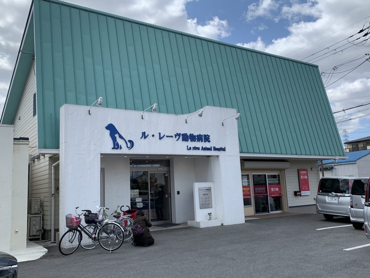 ル・レーヴ動物病院